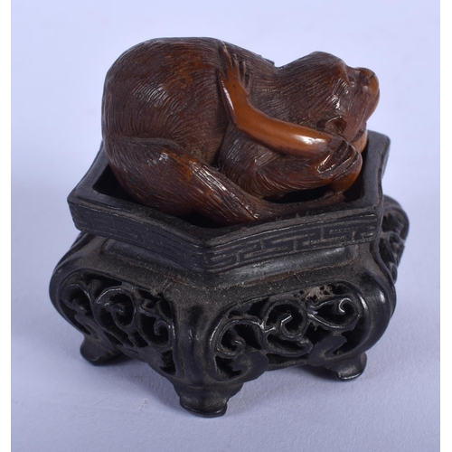 1533 - AN EARLY 20TH CENTURY JAPANESE MEIJI PERIOD CARVED TAGUA NUT OKIMONO modelled as a monkey clutching ... 