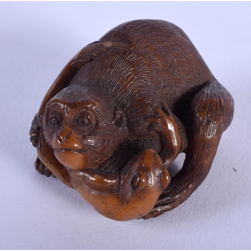 1533 - AN EARLY 20TH CENTURY JAPANESE MEIJI PERIOD CARVED TAGUA NUT OKIMONO modelled as a monkey clutching ... 