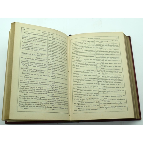2516 - A book on the works of Alfred Tennyson published 1879 together with Wordworths Poetical works 19 x 1... 
