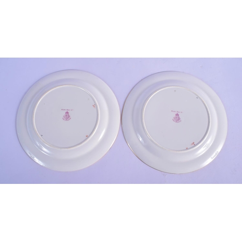 138 - Royal Worcester rare pair of art deco style plates painted with fruit by E. Townsend, one signed, on... 