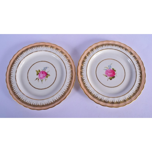 160 - Derby pair of plates painted by Wm. Billingsley with a single pink rose and forget-me-not under a sa... 