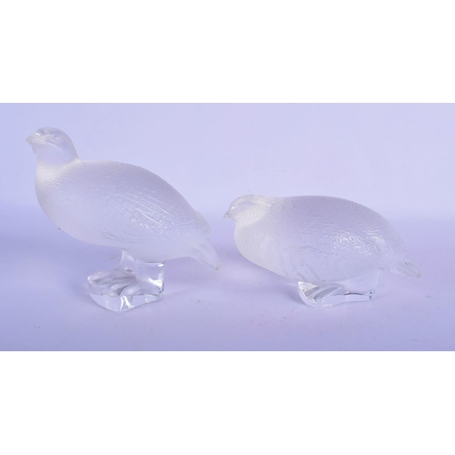 315 - A PAIR OF FRENCH LALIQUE GLASS BIRDS. 13 cm x 13 cm.