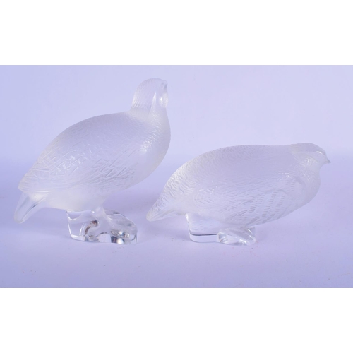 315 - A PAIR OF FRENCH LALIQUE GLASS BIRDS. 13 cm x 13 cm.
