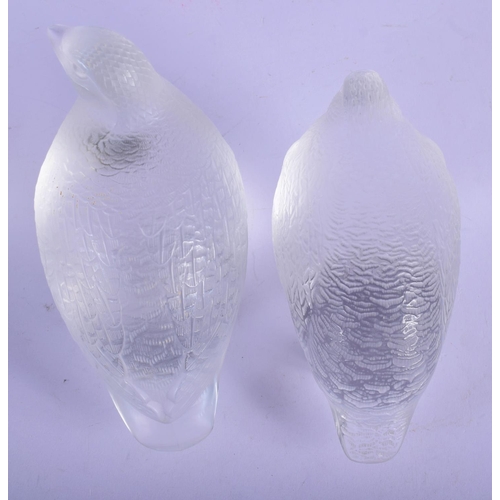 315 - A PAIR OF FRENCH LALIQUE GLASS BIRDS. 13 cm x 13 cm.