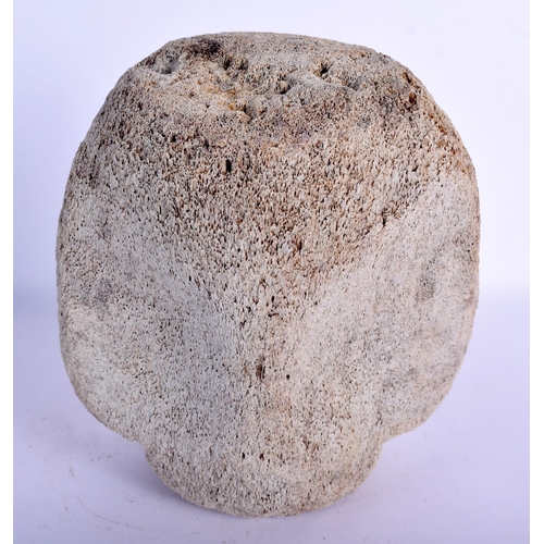 403 - A FOSSILSED WHALE VERTEBRAE. 20 cm x 14 cm.