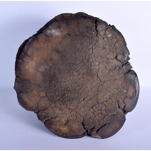 420 - A VICTORIAN TAXIDERMY ELEPHANT FOOT PLANTER. 33 cm x 22 cm.