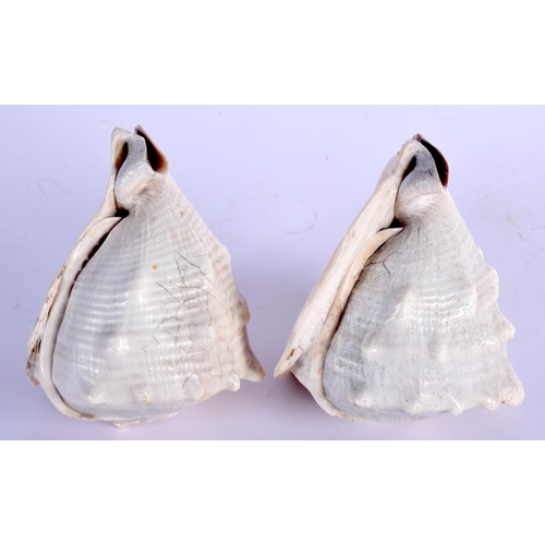 464 - A PAIR OF 19TH CENTURY EUROPEAN CARVED CAMEO SHELLS decorated with portraits. 14 cm x 13 cm.