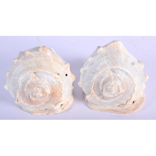 464 - A PAIR OF 19TH CENTURY EUROPEAN CARVED CAMEO SHELLS decorated with portraits. 14 cm x 13 cm.