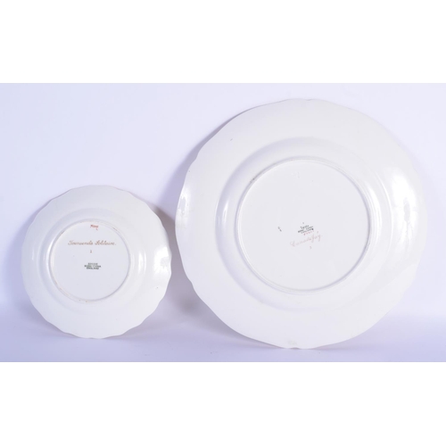 49 - TWO SPODE BONE CHINA ORNITHOLOGICAL PLATES painted with birds. Largest 22 cm wide. (2)