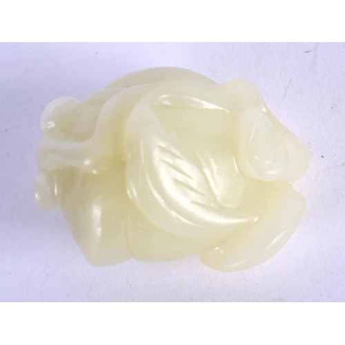 1009 - A 19TH CENTURY CHINESE GREENISH WHITE JADE FRUTING POD Qing, of naturalistic form. 3 cm x 2 cm.