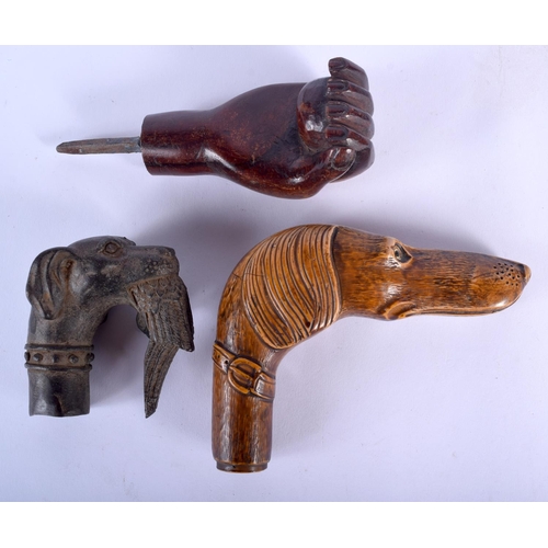 180 - AN ANTIQUE CARVED TREEN DOG HEAD WALKING CANE HANDLE together with two others. Largest 13 cm x 8 cm.... 