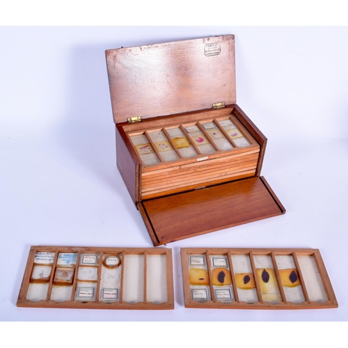 183 - A BOXED SET OF SCIENTIFIC MICROSCOPE SLIDES stamped J B Medland, London Bridge. 20 cm x 10 cm.
