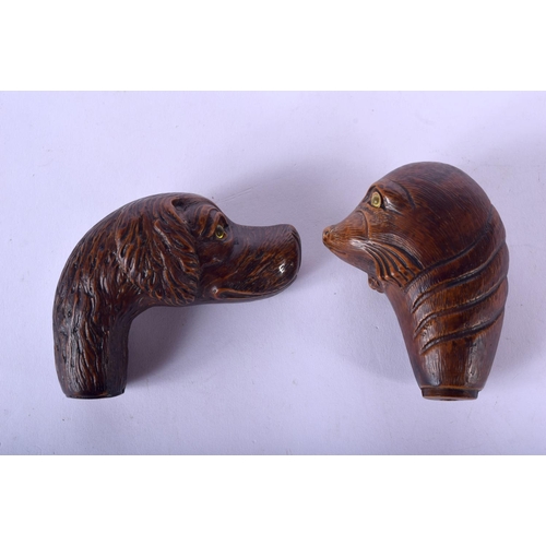 187 - TWO BLACK FOREST STYLE CANE HANDLES one formed as a seal, the other as a dog. Largest 9 cm x 7 cm. (... 
