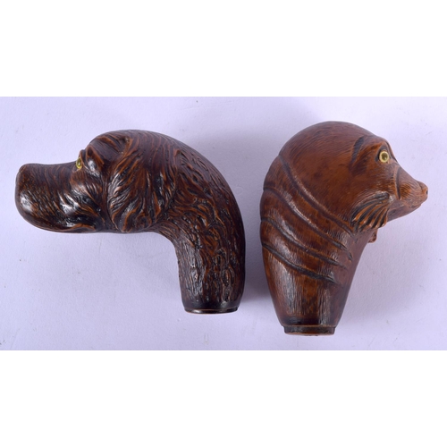 187 - TWO BLACK FOREST STYLE CANE HANDLES one formed as a seal, the other as a dog. Largest 9 cm x 7 cm. (... 