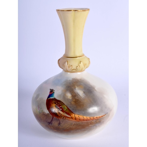 227 - Royal Worcester vase painted with a pheasant by Jas. Stinton, signed, shape G799, date code 1903. 11... 