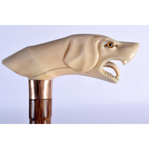Lot 298       