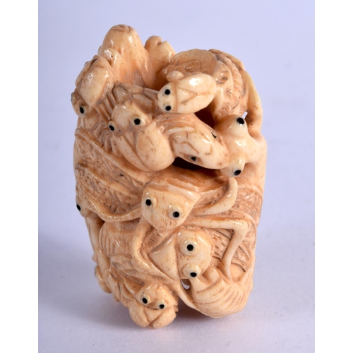 791 - A JAPANESE BONE INSECT NETSUKE. 31 grams. 5 cm x 3 cm.