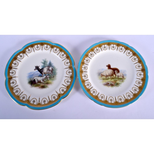 116 - LATE 19TH C. MINTON PAIR OF PLATES PAINTED WITH SHEEP OR GOATS BY HENRY MITCHELL, UNDER A TURQUOISE ... 