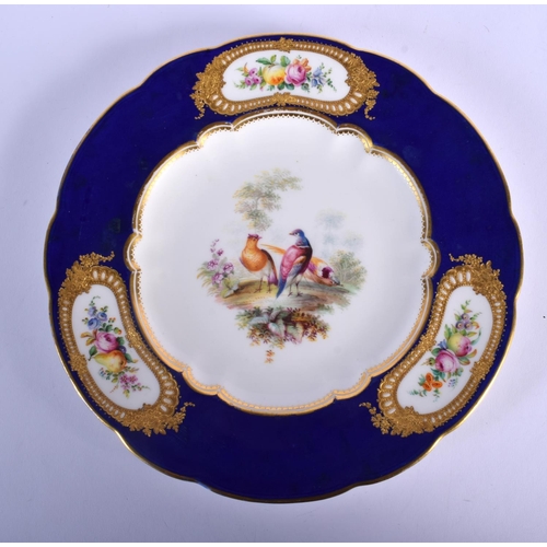 119 - 19TH C. COALPORT FINE PLATE PAINTED BY WM. COOK WITH BIRDS AND FLOWERS IN JEWELLED PANELS ON A BLUE ... 