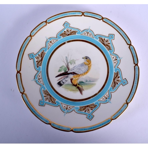 120 - 19TH C. COALPORT FINE PLATE PAINTED WITH A BIRD OF PREY BY JOHN RANDALL, IN A TURQUOICE AND GILT PAN... 