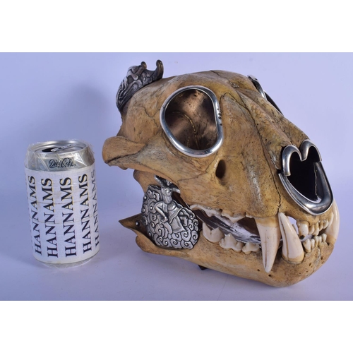308 - A FINE AND RARE EARLY 20TH CENTURY SILVER MOUNTED MIDDLE EASTER TIGER SKULL probably Thai, formed as... 
