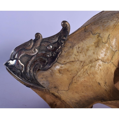 308 - A FINE AND RARE EARLY 20TH CENTURY SILVER MOUNTED MIDDLE EASTER TIGER SKULL probably Thai, formed as... 
