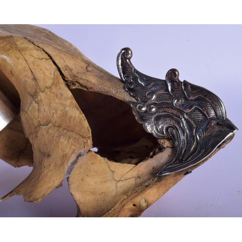308 - A FINE AND RARE EARLY 20TH CENTURY SILVER MOUNTED MIDDLE EASTER TIGER SKULL probably Thai, formed as... 