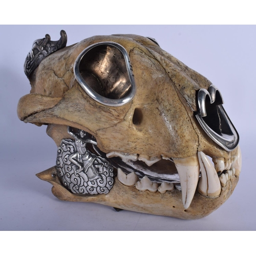308 - A FINE AND RARE EARLY 20TH CENTURY SILVER MOUNTED MIDDLE EASTER TIGER SKULL probably Thai, formed as... 