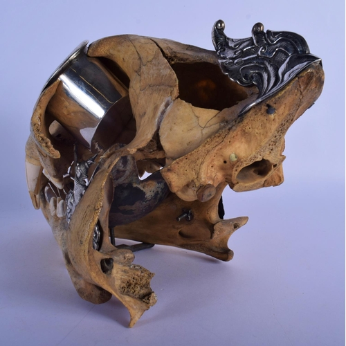 308 - A FINE AND RARE EARLY 20TH CENTURY SILVER MOUNTED MIDDLE EASTER TIGER SKULL probably Thai, formed as... 