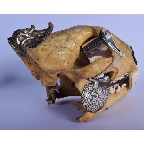 308 - A FINE AND RARE EARLY 20TH CENTURY SILVER MOUNTED MIDDLE EASTER TIGER SKULL probably Thai, formed as... 