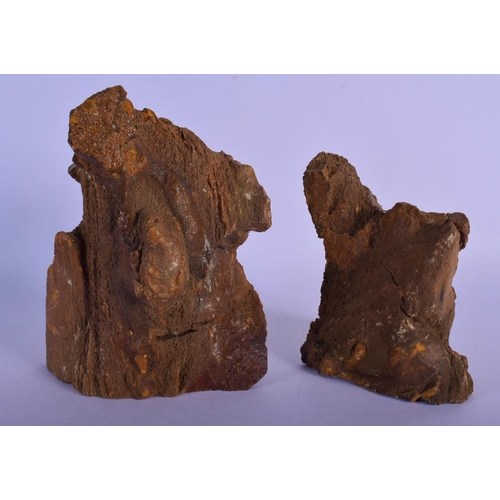 339 - AN UNUSUAL PAIR OF FOSSILISED PETRIFIED WOOD BOOKENDS of naturalistic form. Largest 19 cm x 12 cm.