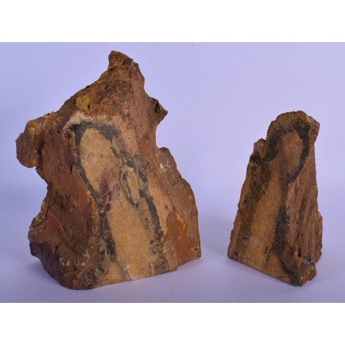 339 - AN UNUSUAL PAIR OF FOSSILISED PETRIFIED WOOD BOOKENDS of naturalistic form. Largest 19 cm x 12 cm.