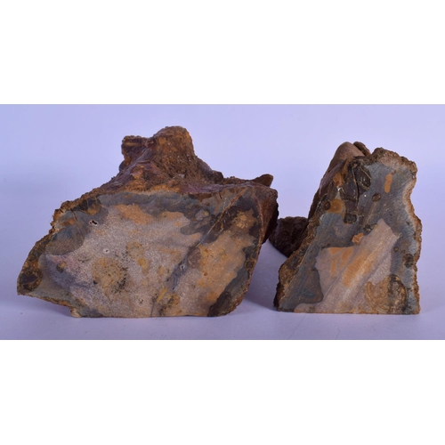 339 - AN UNUSUAL PAIR OF FOSSILISED PETRIFIED WOOD BOOKENDS of naturalistic form. Largest 19 cm x 12 cm.