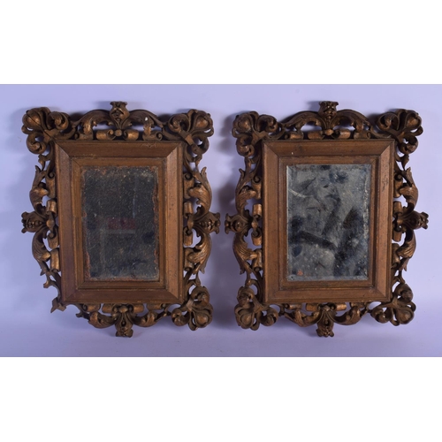 345 - A PAIR OF 19TH CENTURY CONTINENTAL CARVED AND GILDED WOOD MIRRORS of naturalistic form. 32 cm x 26 c... 