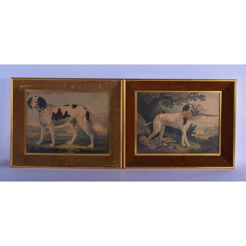 346 - A PAIR OF 19TH CENTURY HAND COLOURED ENGLISH ENGRAVINGS depicting hunting dogs within landscapes. 48... 