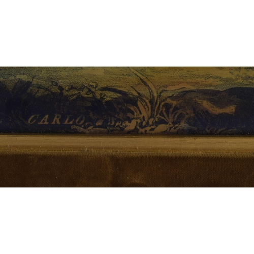 346 - A PAIR OF 19TH CENTURY HAND COLOURED ENGLISH ENGRAVINGS depicting hunting dogs within landscapes. 48... 