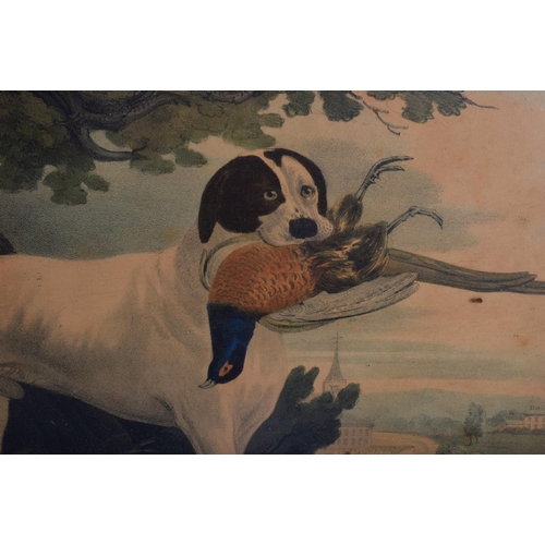 346 - A PAIR OF 19TH CENTURY HAND COLOURED ENGLISH ENGRAVINGS depicting hunting dogs within landscapes. 48... 