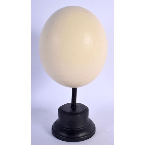 372 - A MOUNTED OSTRICH EGG. 25 cm high.