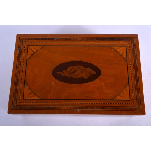 388 - A GEORGE III RECTANGULAR SATINWOOD CARD BOX inset with a shell. 21 cm x 14 cm.
