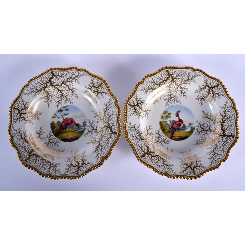 73 - FLIGHT BARR AND BARR SHALLOW DISHES  EACH HAND PAINTED WITH A BIRD OF PARADISE WITHIN IN GILT SEAWEE... 