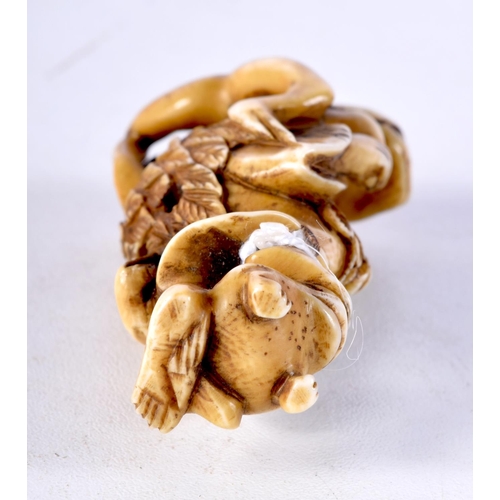 3 - A 19TH CENTURY JAPANESE MEIJI PERIOD CARVED IVORY NETSUKE in the form of scholar holding a toad. 7.2... 