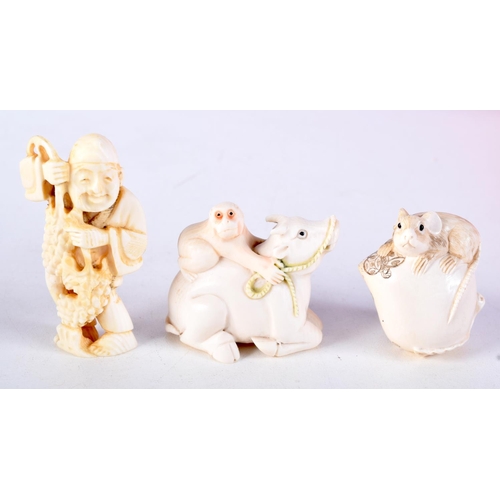 32 - A FINE 19TH CENTURY JAPANESE MEIJI PERIOD CARVED IVORY BULL NETSUKE together with two others. Larges... 