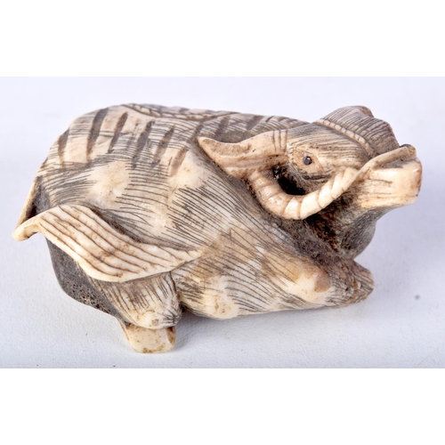 45 - A LARGE 19TH CENTURY JAPANESE MEIJI PERIOD CARVED BONE NETSUKE modelled as a seated bullock. 6 cm x ... 