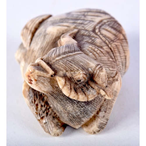 45 - A LARGE 19TH CENTURY JAPANESE MEIJI PERIOD CARVED BONE NETSUKE modelled as a seated bullock. 6 cm x ... 