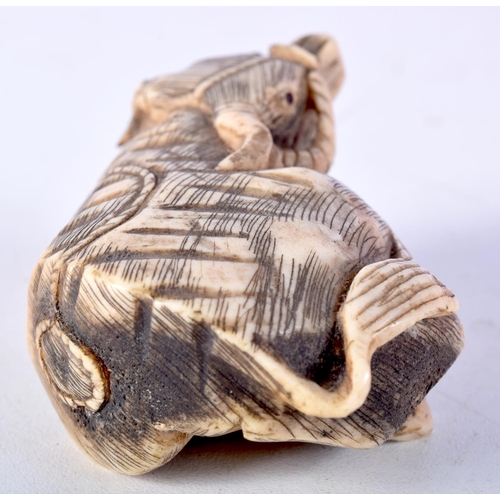45 - A LARGE 19TH CENTURY JAPANESE MEIJI PERIOD CARVED BONE NETSUKE modelled as a seated bullock. 6 cm x ... 