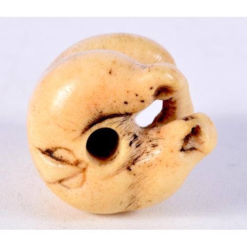 5 - A 19TH CENTURY JAPANESE MEIJI PERIOD CARVED STAG ANTLER NETSUKE formed as a seated monkey. 4 cm x 2 ... 