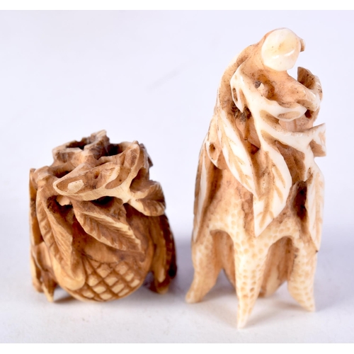 6 - TWO 19TH CENTURY CHINESE CARVED IVORY FRUITING PODS Qing. Largest 5 cm x 3 cm. (2)