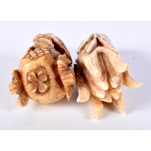 6 - TWO 19TH CENTURY CHINESE CARVED IVORY FRUITING PODS Qing. Largest 5 cm x 3 cm. (2)
