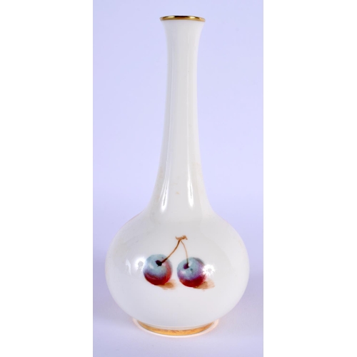 101 - ROYAL WORCESTER VASE PAINTED BY ROBERTS , SIGNED WITH PEACHES AND CHERRIES, BLACK MARK , SHAPE 2491 ... 