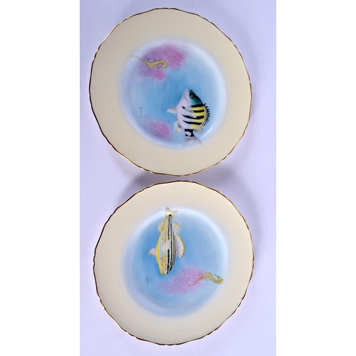 132 - ROYAL WORCESTER ICHTHYOLOGICAL PAIR OF PLATES PAINTED BY HARRY AYRTON, SIGNED, WITH FISH, TITLED VER... 